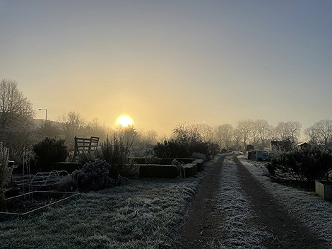 Frost sun2 18.01.22 Frost sun2 18.01.22