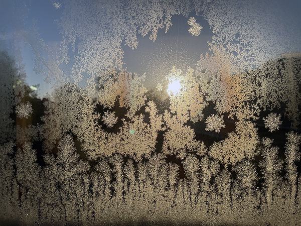 New Year Arctic Blast