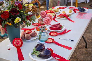 Autumn Show - 6th September 2026