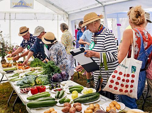 Autumn Show - 31st August 2025