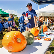 Ben's in charge of pumpkins
