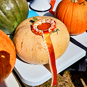 The People's Pumpkin