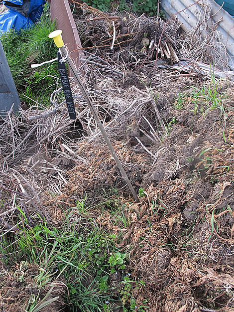 Community plot bumble nest
