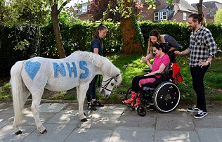 Park Lane Stables under threat