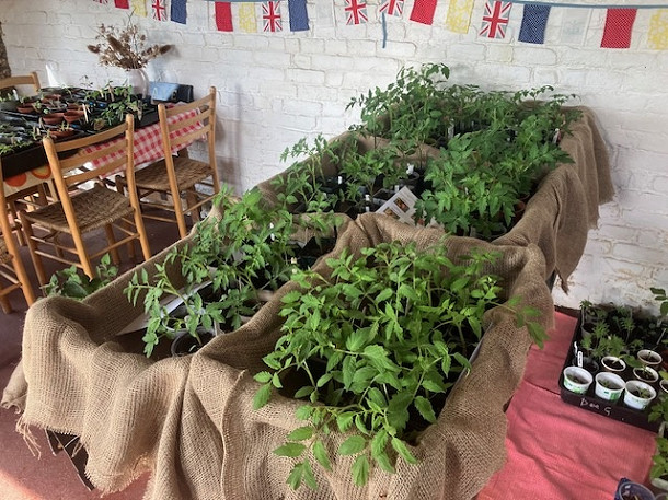 PLANT SALE - 4th May 2025