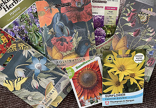 Seeds of Hope