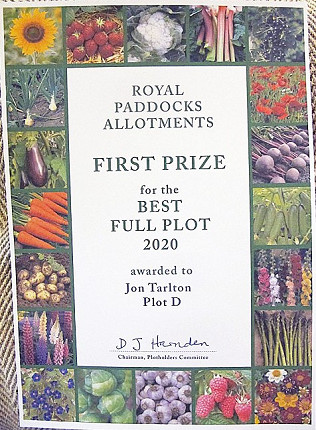 Best Plots 2020 - the winners