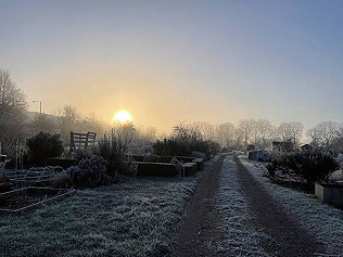 Frosty plots photos