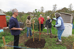 Centenary Tree Planting 01.11.20