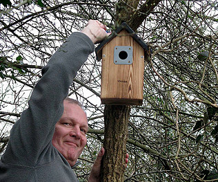 National Nest Box Week, weather, no dig and mystery