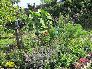 Communal Front bed, Slinky Malinky, bee post occupied, rain at last, bees and butterflies