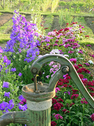 Drought Conditions